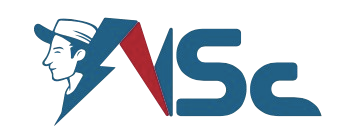 NS Consultancy Logo